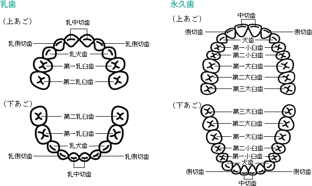 fig_01_2 fig_01_2