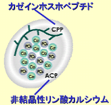 image-20220512114756-3