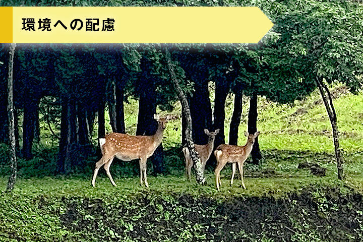 環境保全に関する活動