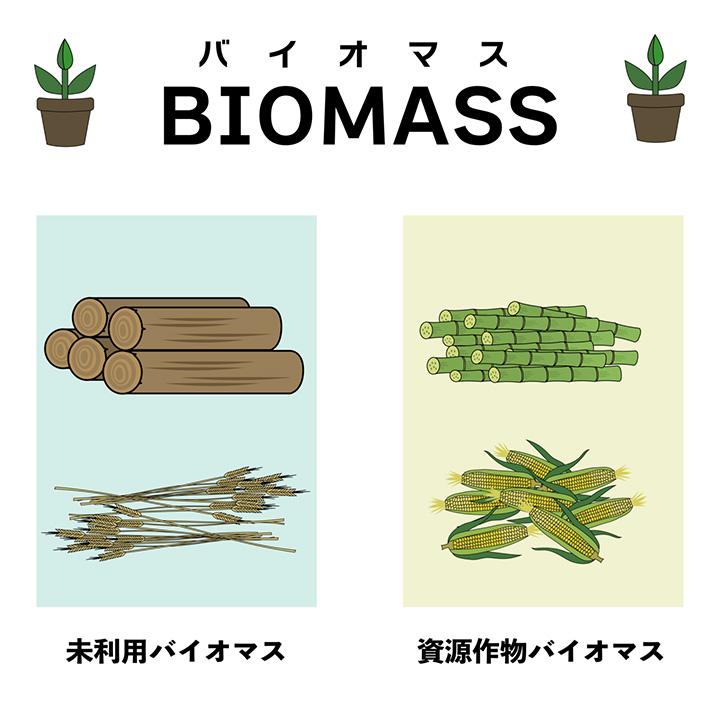 バイオマス素材